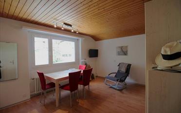 Wohnung ein Zimmer - image - 5