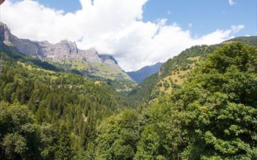 Chalet 2 pièces - image - 14