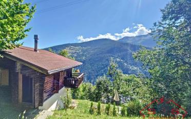 Chalet 4.5 rooms - image - 2