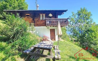 Chalet 4.5 rooms - image - 1