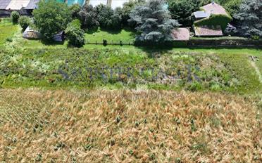 Einfamilienhaus 5 Zimmer - image - 1