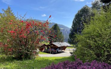 Apartment 5.5 rooms - image - 5