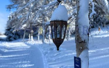 Appartement 3.5 pièces - image - 6