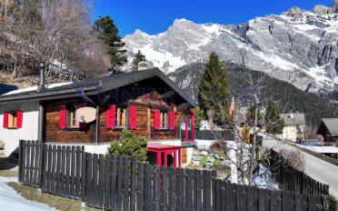 Chalet 6 pièces - image - 1