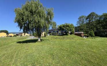 Single house 6 rooms - image - 5