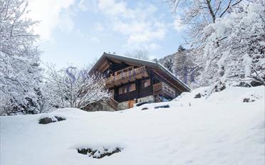 Chalet 7 pièces - image - 1