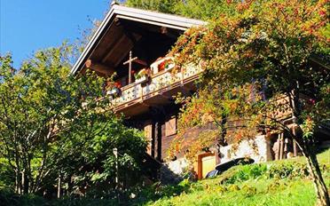Chalet 7 pièces - image - 3
