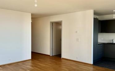 Wohnung ein Zimmer - image - 2