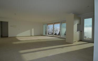 Terrace flat 2.5 rooms - image - 8