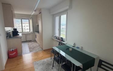 Apartment 3.5 rooms - image - 5