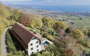 Einfamilienhaus 14 Zimmer - image - 2