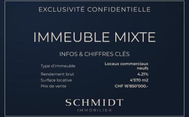 Gemischt genutzte Immobilie - image - 1