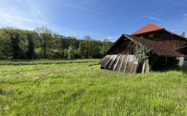Bauernhaus 3.5 Zimmer - image - 2
