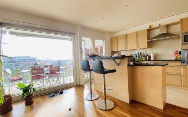 Attique 4.5 pièces - image - 4