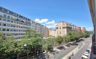 Appartement 3.5 pièces - image - 6