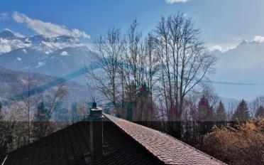 Single house 6 rooms - image - 12