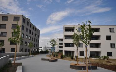 Büro - image - 11