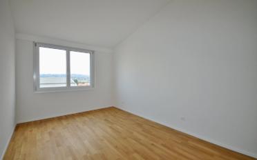 Wohnung 2.5 Zimmer - image - 5