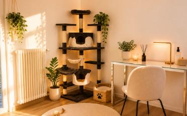 Studio 1.5 Zimmer - image - 2