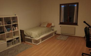 Single house 7 rooms - image - 4