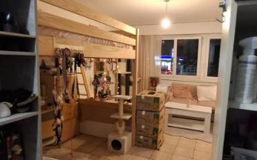 Wohnung ein Zimmer - image - 2