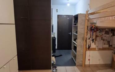 Wohnung ein Zimmer - image - 4
