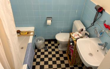 Wohnung ein Zimmer - image - 5