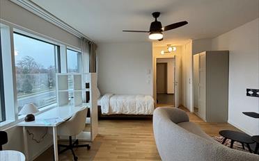 Apartment 1 room - image - 1