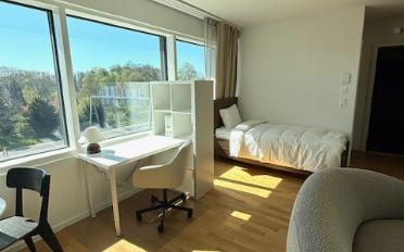 Apartment 1 room - image - 3