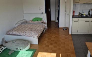Wohnung 1.5 Zimmer - image - 2