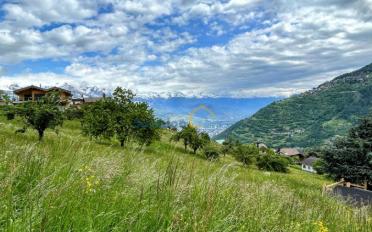 Villa 6.5 Zimmer - image - 5