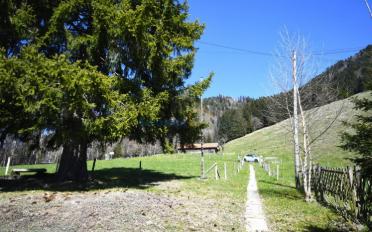 Chalet 15 Zimmer - image - 4