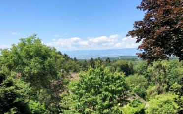 Reihenfamilienhaus 4.5 Zimmer - image - 7