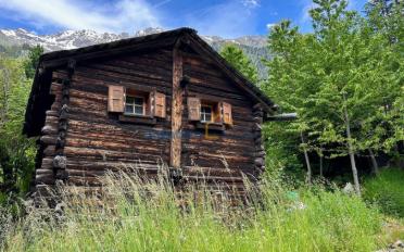 Chalet 2.5 Zimmer - image - 2