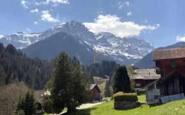 Chalet 8.5 Zimmer - image - 2