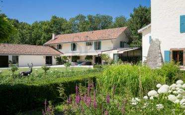 Schloss 20 Zimmer - image - 1