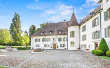 Schloss 16 Zimmer - image - 5