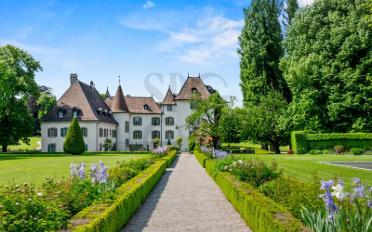 Schloss 16 Zimmer - image - 1