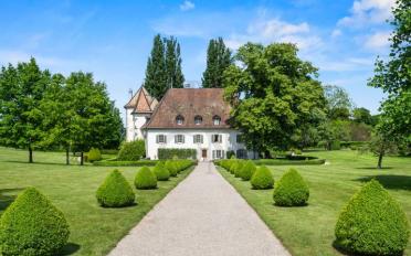 Schloss 16 Zimmer - image - 10