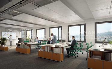 Office - image - 4