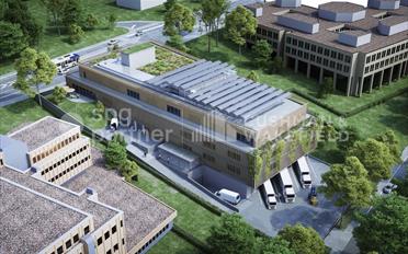 Commerce - image - 5