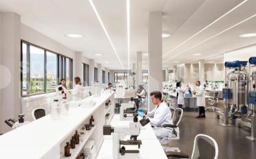 Gewerbe - image - 6