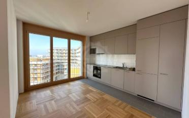 Wohnung 4.5 Zimmer - image - 3