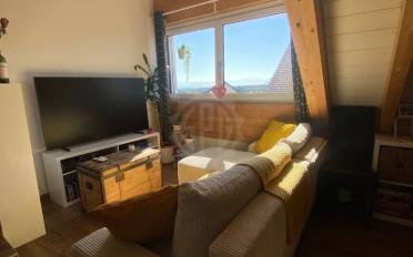 Studio 1.5 rooms - image - 2