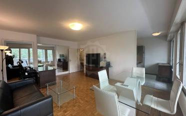 Studio 2 Zimmer - image - 5