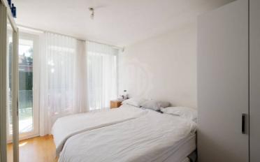 Single house 6 rooms - image - 7