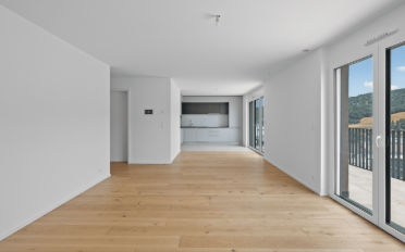 Dachwohnung 4.5 Zimmer - image - 4