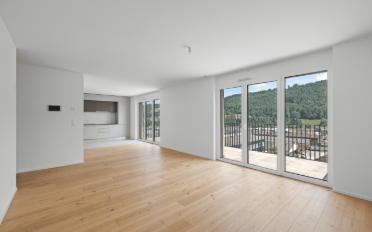 Dachwohnung 4.5 Zimmer - image - 8