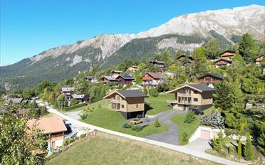 Chalet 4.5 rooms - image - 2