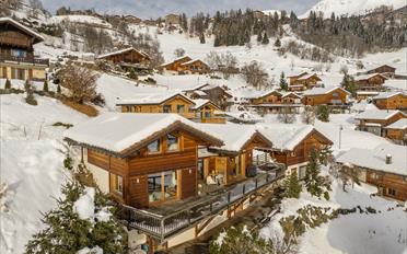Chalet 8 Zimmer - image - 2